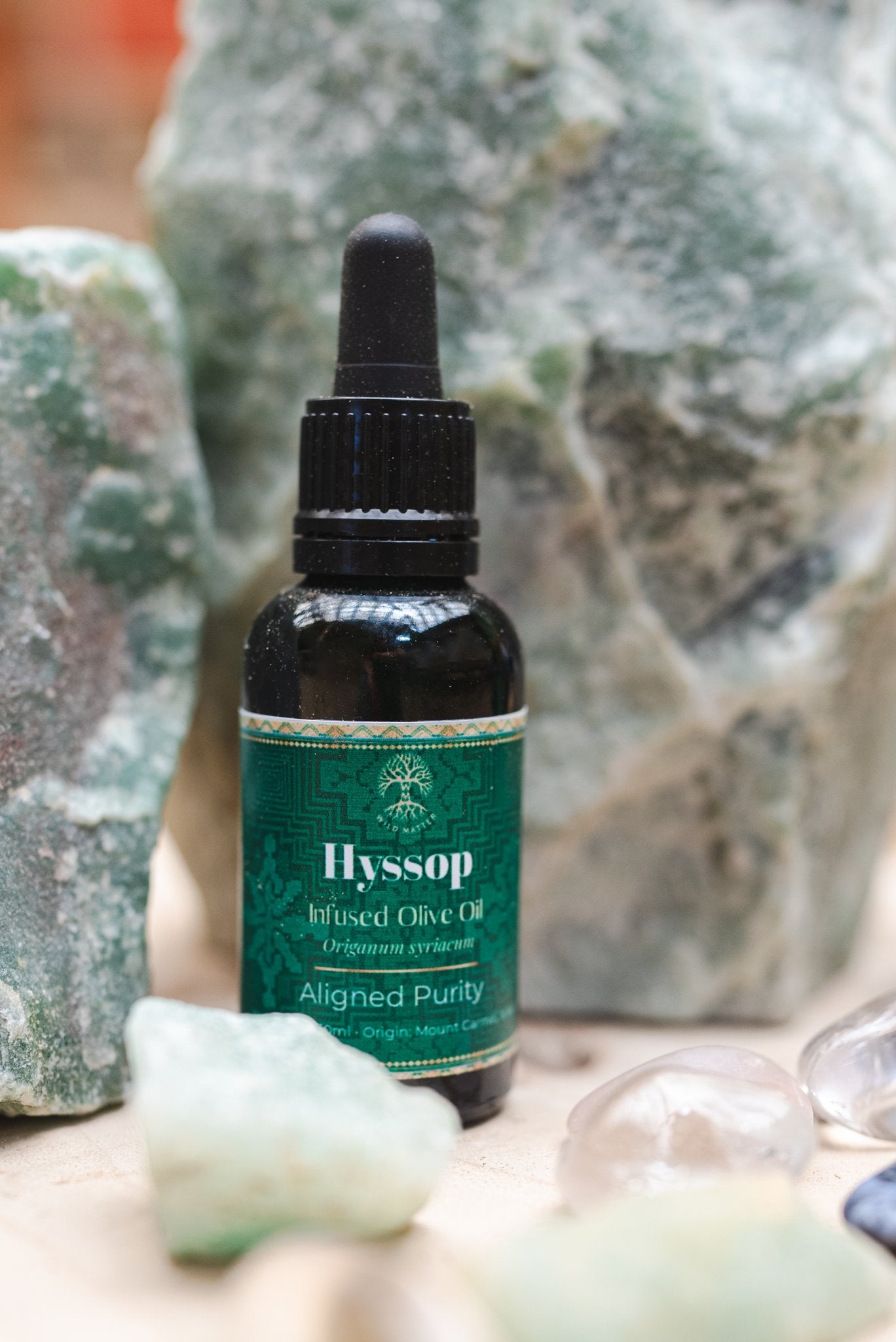 Hyssop Infused Oil