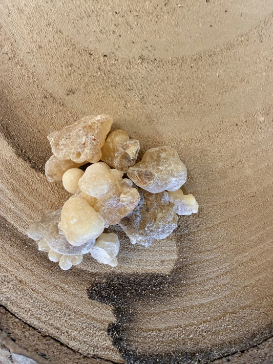 Boswellia Carterii frankincense resin – Wild Matter