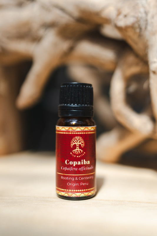 Copaiba oil – Wild Matter