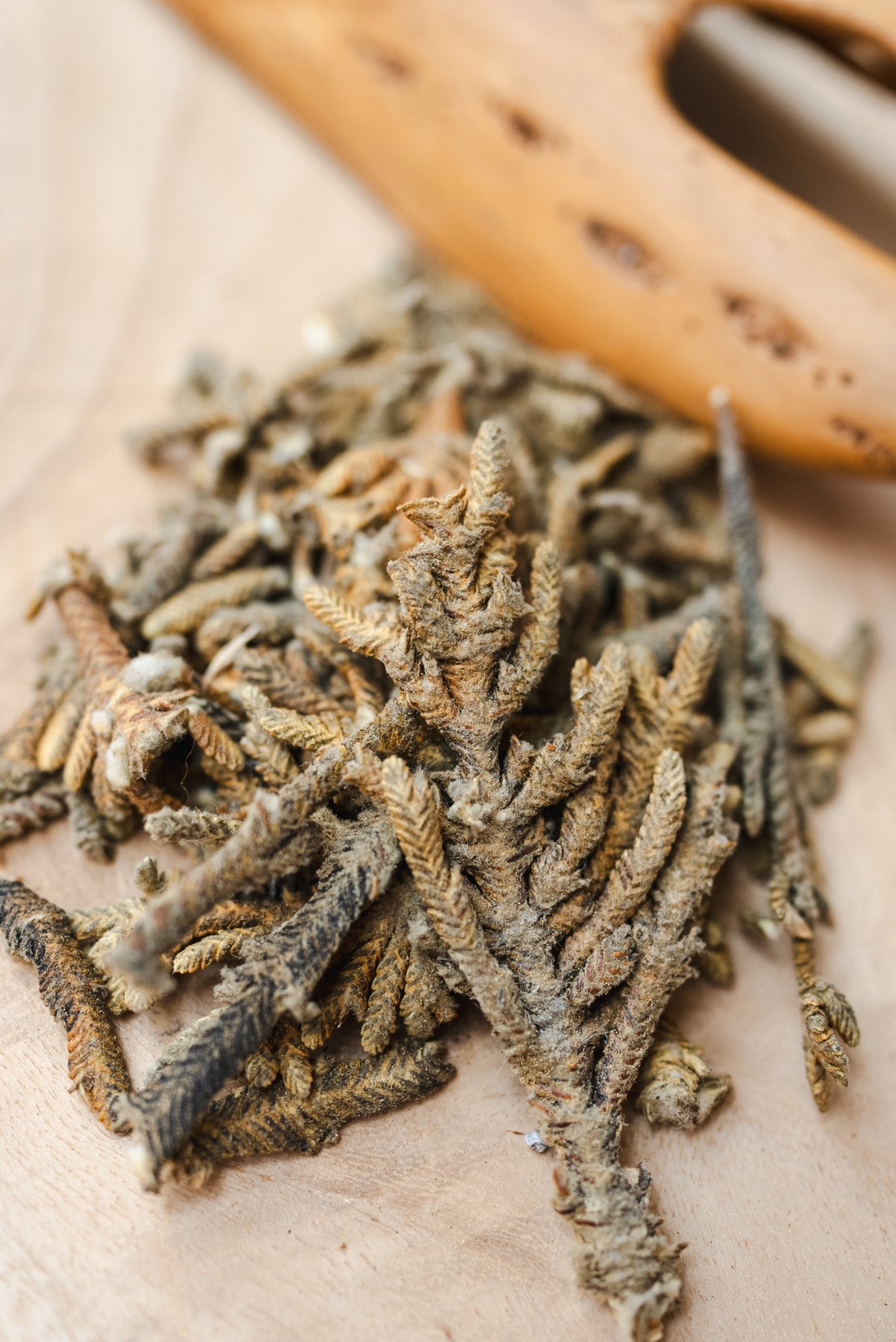 Palma Dulce - Natural Incense from The Peruvian Andes