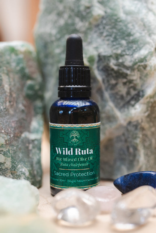 Rue (Ruta) infused oil – Wild Matter