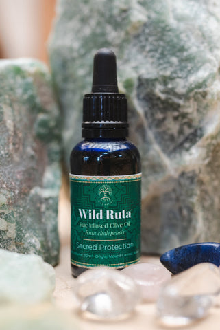 Rue / Ruta Infused Oil