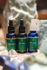 Rue / Ruta Infused Oil