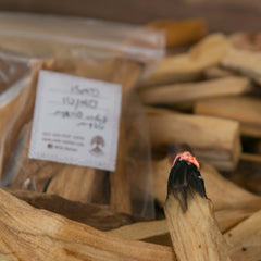 Palo Santo - Natural Wood Incense from Peru - Wild Matter Arts