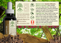 Copaiba Oil - Natural Resin Remedy of the Amazon - Wild Matter Arts
