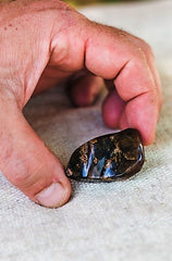 Mexican Amber - Wild Matter Arts