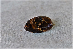 Mexican Amber - Wild Matter Arts