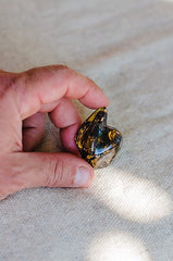 Mexican Amber - Wild Matter Arts