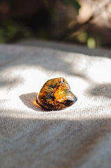 Mexican Amber - Wild Matter Arts