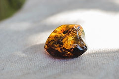 Mexican Amber - Wild Matter Arts