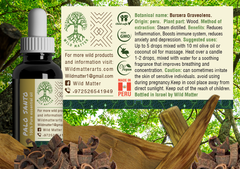 Palo Santo Essential Oil - Wild Matter Arts