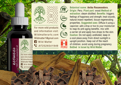 Rosewood (Palo Rosa) Essential Oil - Wild Matter Arts